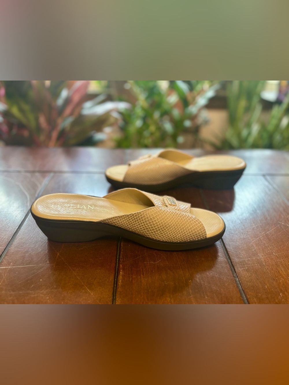 Italian Shoemakers Neutral Beige Textured Slide Mules with Gold Buckle